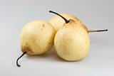 Chinese pears