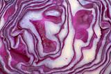 Red cabbage background