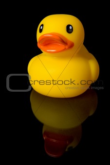 Yellow Rubber Duck Reflection