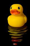 Yellow Rubber Duck Reflection with water ripples