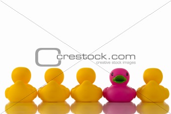 Pink, purple rubber duck with yellow ducks