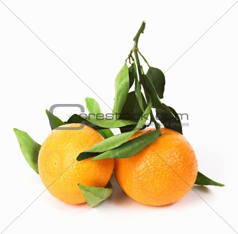 Two tangerines