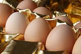 fresh eggs in gold