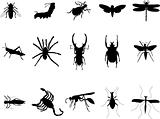 insects silhouettes