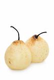 Chinese pears
