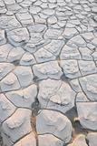 Close-up of cracks in an area of dried mud