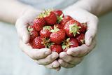 Holding fresh strawberries.