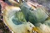 Mud Volcano Pool area in Yellowstone National Park