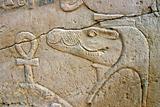 Wall of relief of the Crocodile God Sobek in Egypt