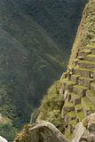 Steep view of Machu Picchu, Peru
