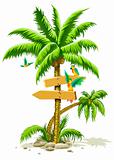 tropical palm tree with wooden signs and parrot birds