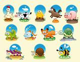 Cartoon animals and pets with background