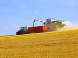 wolds harvesting