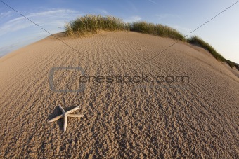 Dunes, sand, shells
