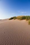 Dunes & Sandy sunny beach