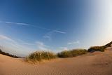 Dunes background
