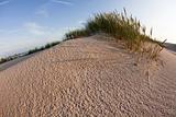 Sand, beach and dunes