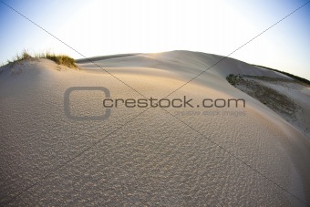 Dunes & Sandy sunny beach