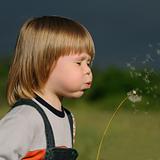 The boy and a dandelion