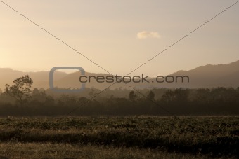 Australia Countryside in the Morning
