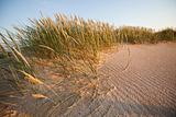 Summer, dunes, holidays
