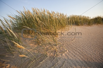 Summer, dunes, holidays