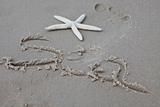 Summer and holidays among shells and sand