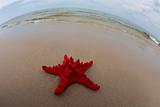 Summer and holidays among shells and sand