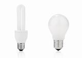 Light bulb and electrical fluorescent energy saving lamp