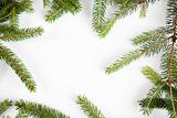 Spruce & Christmas