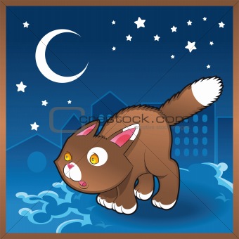 Baby cat in the night