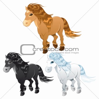 three horses or pony
