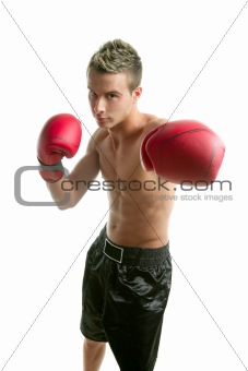 Young boxer man isolated on studio