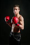 young shaped man boxing, studio shot