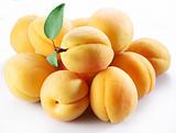 Apricot; objects on white background
