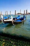 Gondolas of Venice. Italy