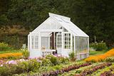 Nice greenhouse