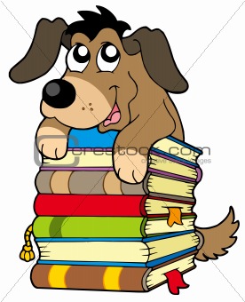 Cute dog on pile of books