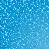Water drops.Vector illustration
