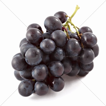 Bunch of black grapes isolated