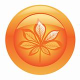 Orange shiny button with chestnut leaf