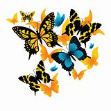 The butterfly. Vector illustration 