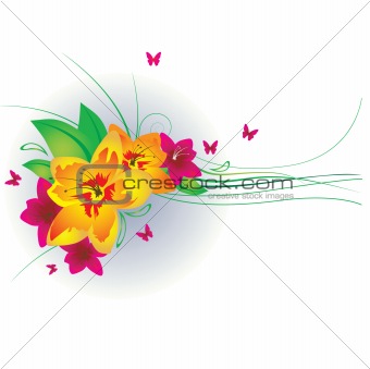 Flowers and butterflies. Vector illustration