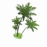 four palms of green color. Vector illustration   