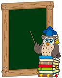 Board with owl teacher and books