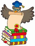 Wise owl with diploma and books