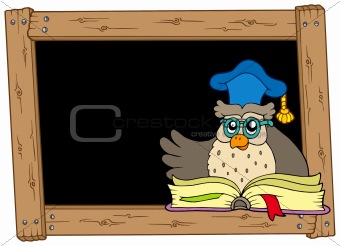 Wooden blackboard with owl teacher