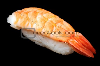 big shrimp nigirizushi (nigiri sushi)