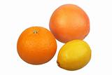 Orange, grapefruit and yellow lemon.