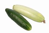 Green cucumber and zucchini.